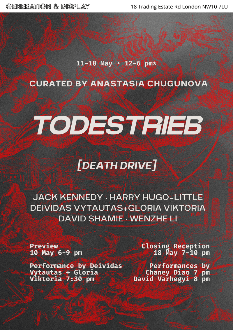 poster pinch to zoom duo show Elli Antoniou & Beatrice Vorster